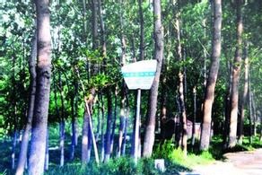 ����վ��